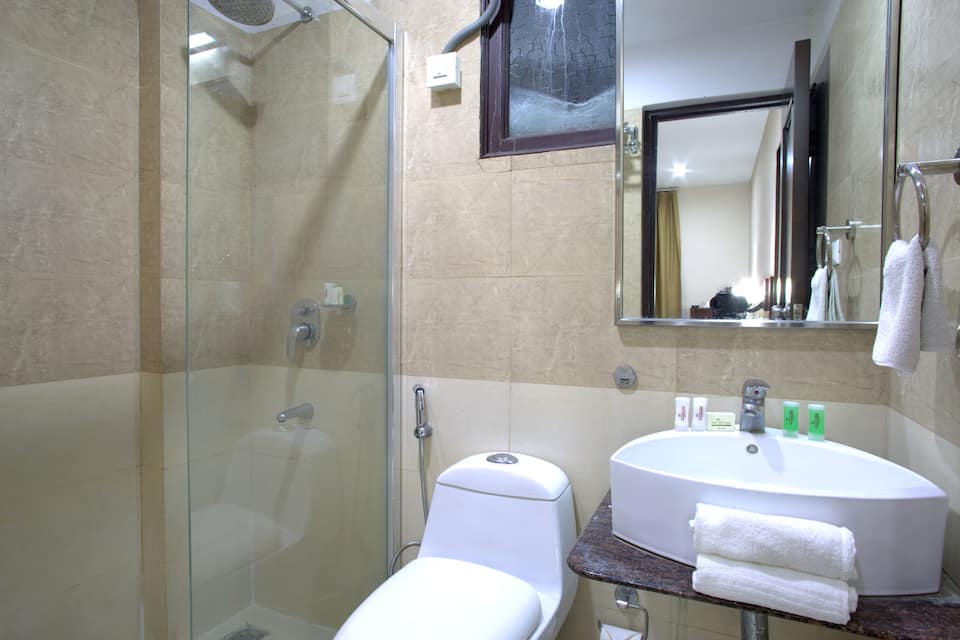 Hotel Royal Palm - A Budget Hotel in Udaipur
